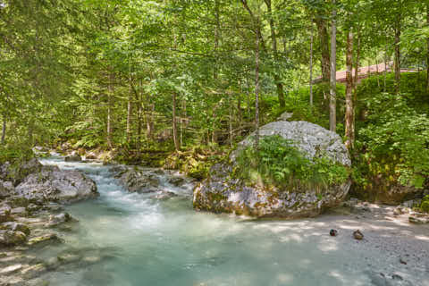 Gemeinde Ramsau Landkreis Berchtesgadener_Land Zauberwald am Hintersee (Dirschl Johann) Deutschland BGL